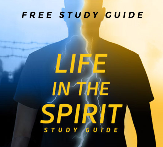 Precepts For Life™ Bible Study Guide: Life in the Spirit